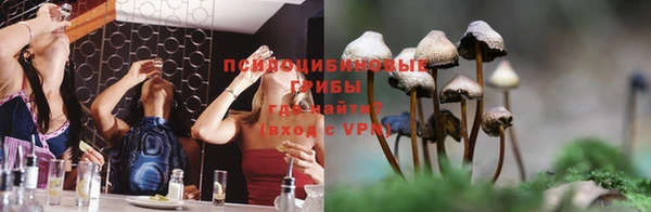 a pvp Абаза