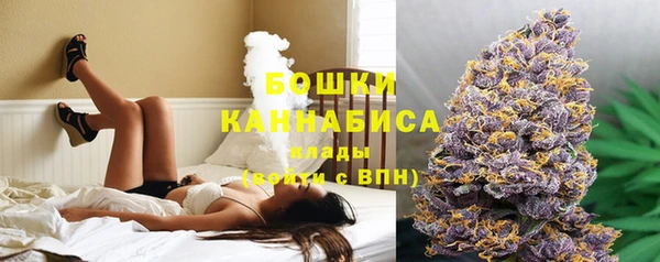 PSILOCYBIN Абдулино