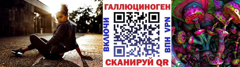 Галлюциногенные грибы Psilocybine cubensis Нижний Новгород